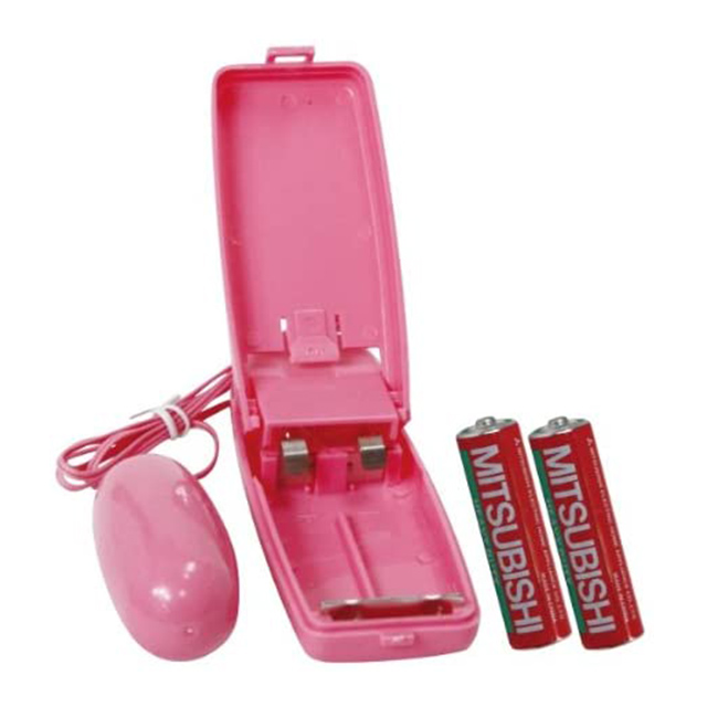 無印ローター2枚目