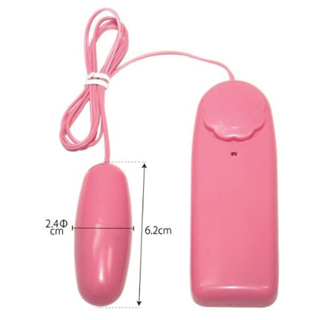 無印ローター3枚目