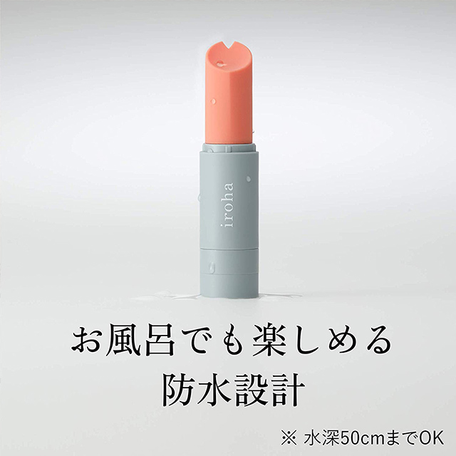 iroha stick (イロハ スティック)4枚目