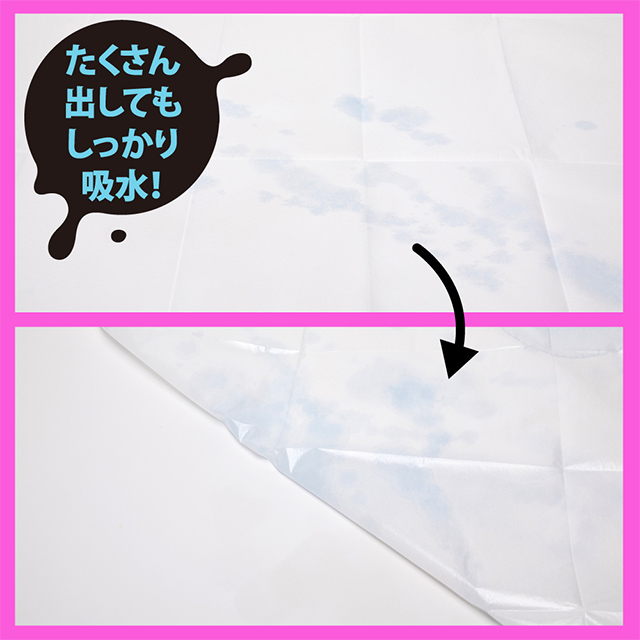 吸水防水シート SHIOFUKITENA [シオフキテーナ]3枚目