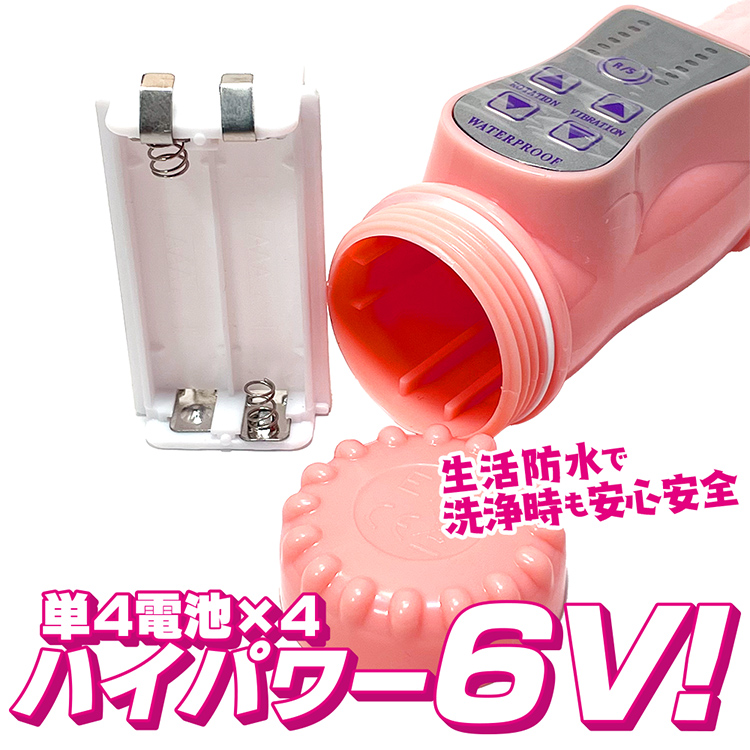カリダカー7枚目