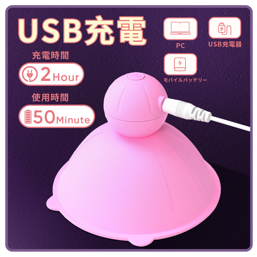 ロータリーニップルプレジャー5枚目