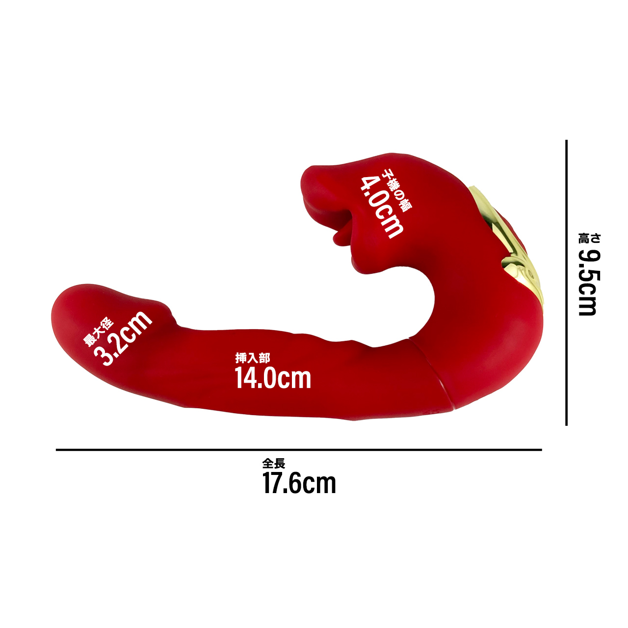 平均的なサイズ感のボディ