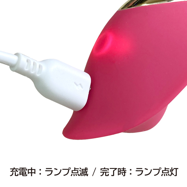 [販売終了]seQret R(シークレットローター)6枚目