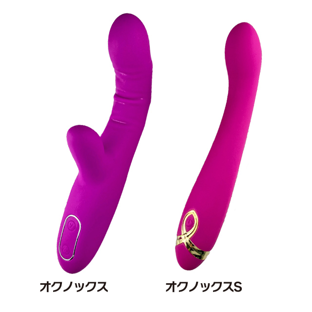オクノックス S9枚目