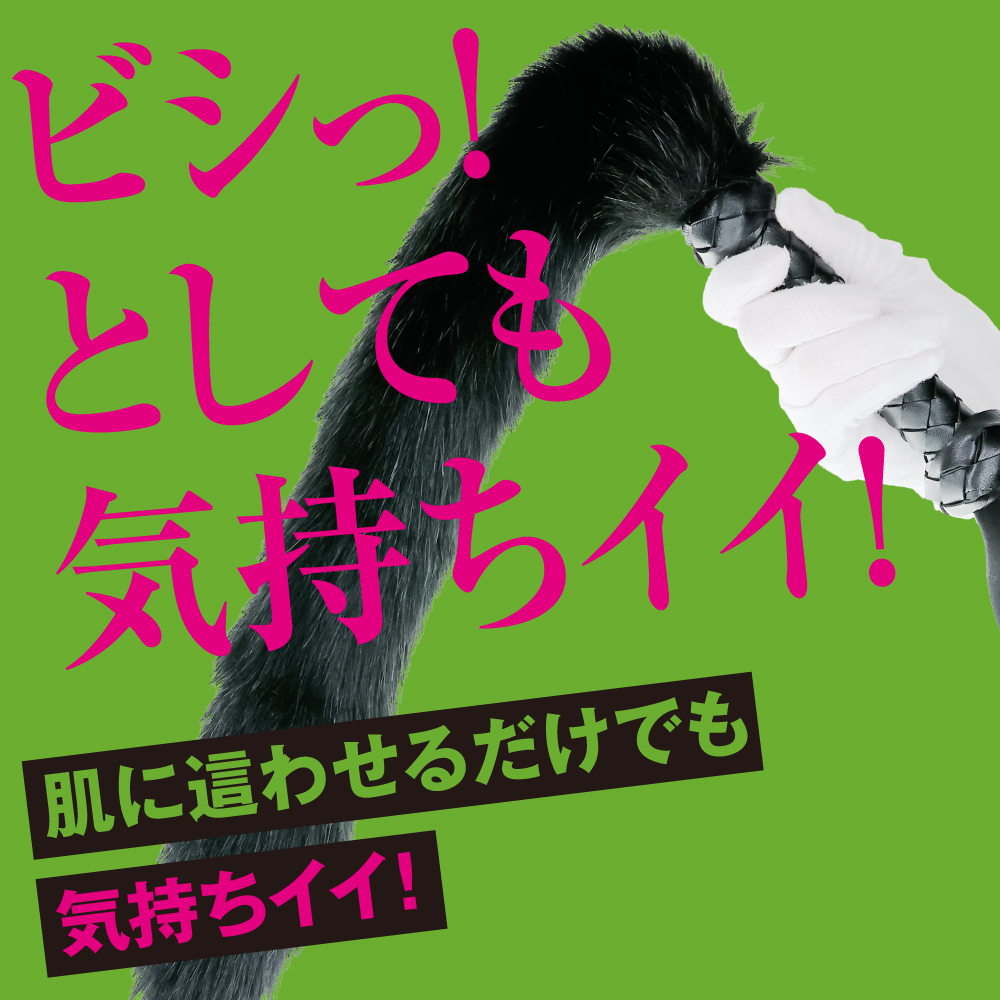 快感ウィップ 魅惑のもふ3枚目