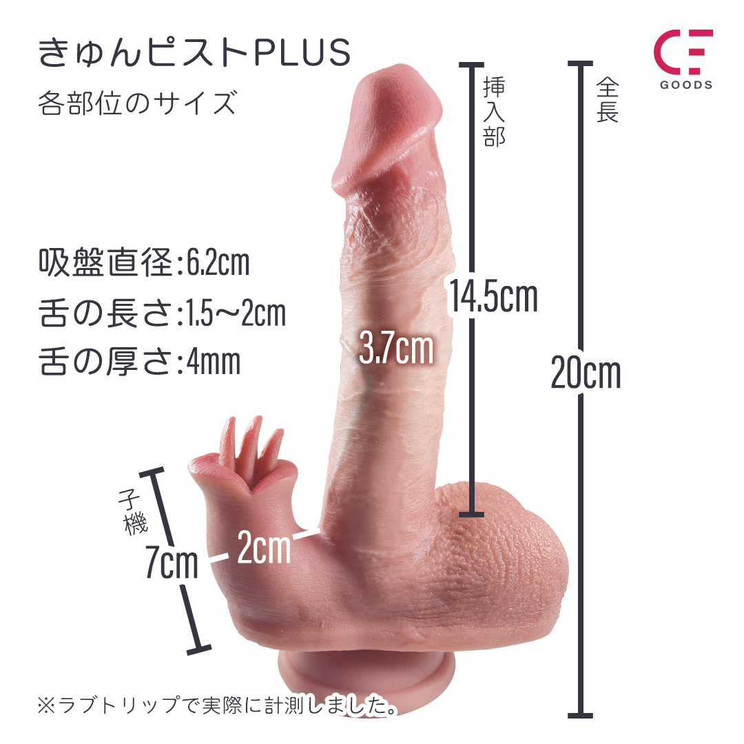 きゅんピストPLUS8枚目