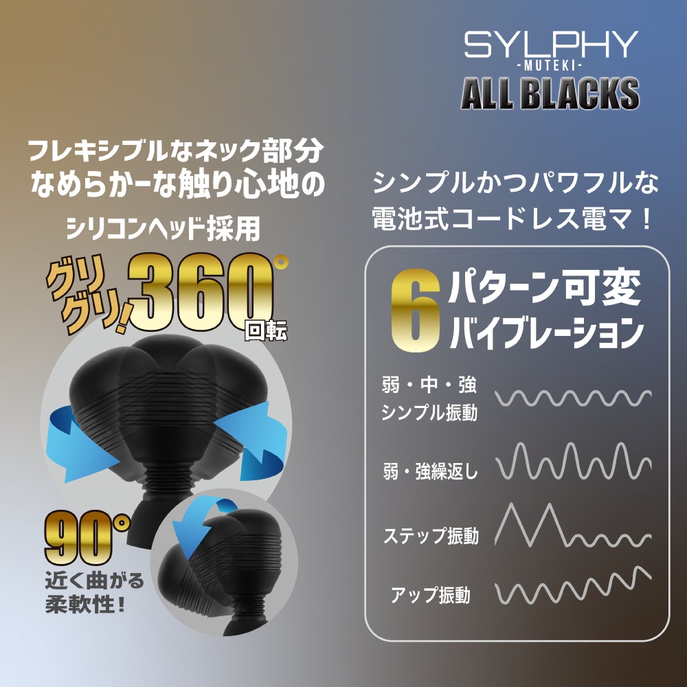 SYLPHY MUTEKI ALL BLACKS3枚目