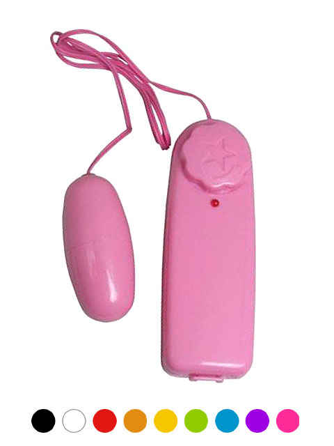 カラーローターEX ピンク+マルチグッズクリーナーセット2枚目