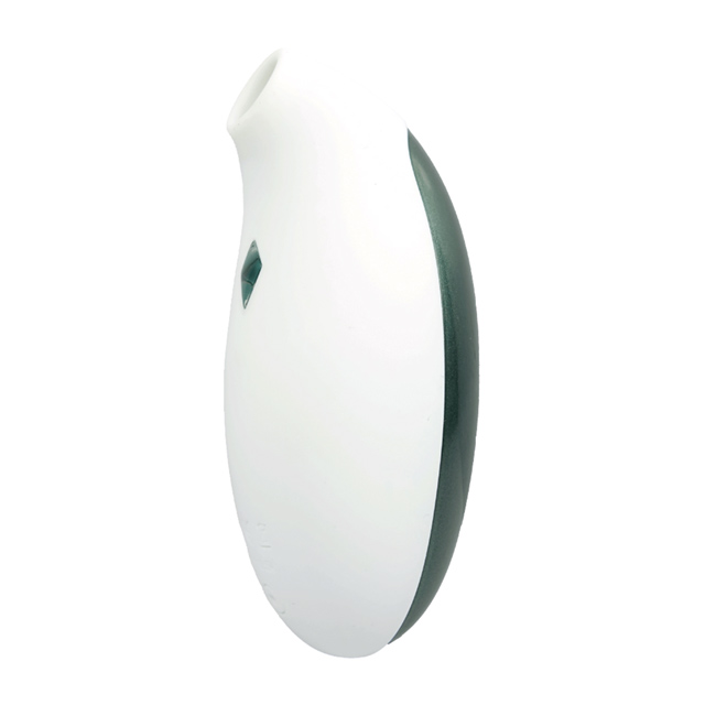 いつでもどこでもお忍びセット3枚目