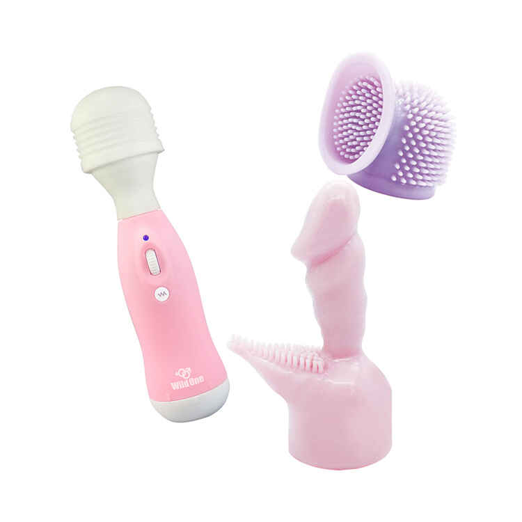 ピンクデンマ2プラス満喫セット1枚目