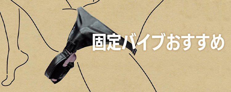 固定バイブのヘッダー画像