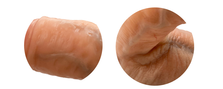 生チンディルドの竿・玉袋の写真