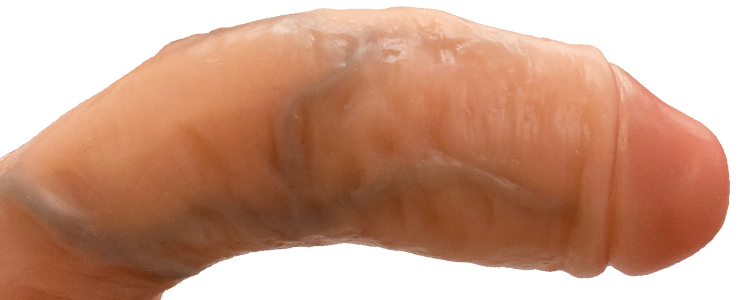 生チンディルドの竿の写真