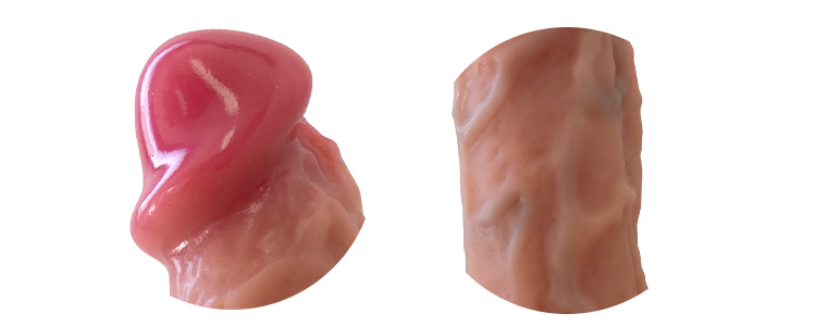 極生ドングプレミアム 柔の竿・玉袋の写真
