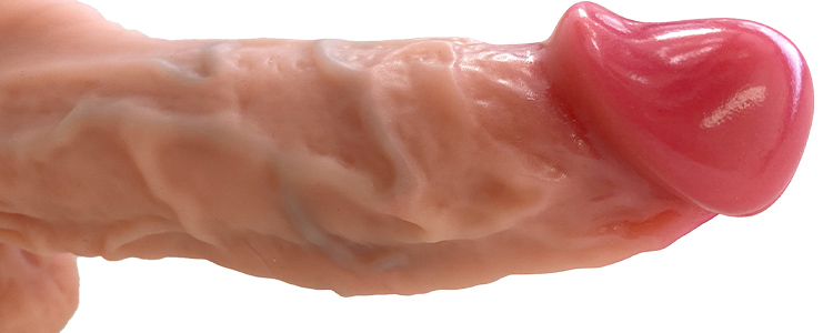 極生ドングプレミアム 柔の竿の写真