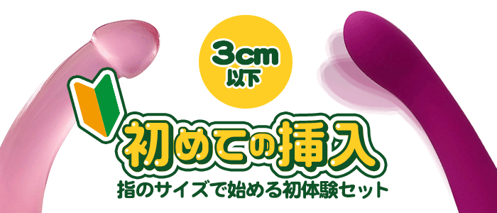 初めての挿入セット